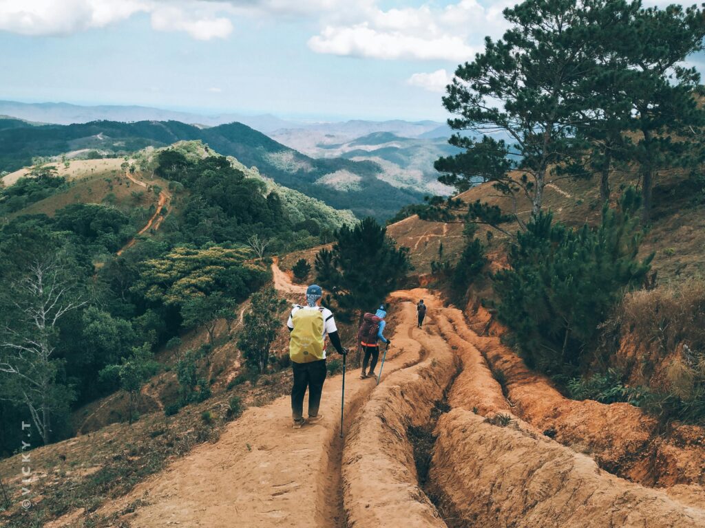 Back view of unrecognizable hikers with trekking poles traveling in green hilly valley